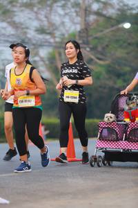 BIB: 17244, 10182
                            <button type="button" onclick="openModal(10040026)" class="btn btn-primary btn-sm float-right btn-popup" data-toggle="modal" data-target=".modal-high-quality">
                        <i class="fas fa-shopping-cart"></i> Add to Cart
                    </button>
                                            <button type="button" onclick="isThisMe(10040026, true)" class="btn btn-success btn-sm float-right btn-popup btn-isme hidden" data-toggle="tooltip" data-placement="bottom" title="นี่คือรูปของคุณใช่ไหม คลิกที่นี่เพื่อเอาเข้าอัลบั้ม">
                        <i class="fas fa-plus"></i> Add to album
                    </button>
                    <button type="button" onclick="isThisMe(10040026, false)" class="btn btn-warning btn-sm float-right btn-popup btn-isnotme hidden">
                        <i class="fas fa-ban"></i> Remove from album
                    </button>
